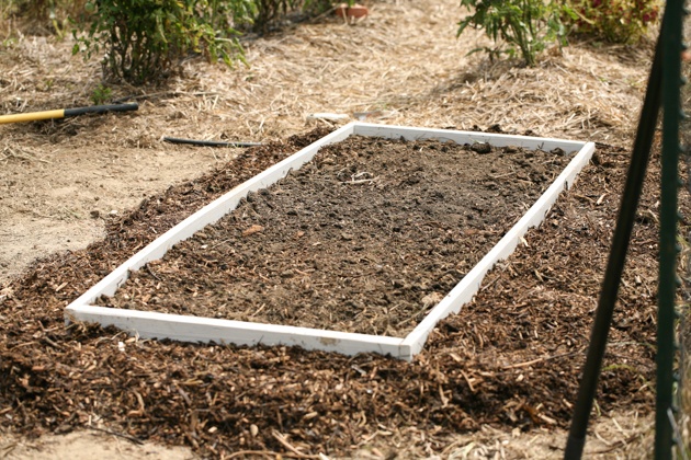 Building raised garden beds. This is a simple way to build garden beds, it cost me $0 and the whole project took just a few hours. #LadyLeesHome, #gardening #garden #raisedgardenbeds #organicgardening 
