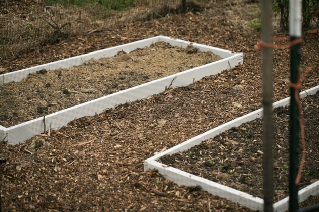 Building raised garden beds. This is a simple way to build garden beds, it cost me $0 and the whole project took just a few hours. #LadyLeesHome, #gardening #garden #raisedgardenbeds #organicgardening 