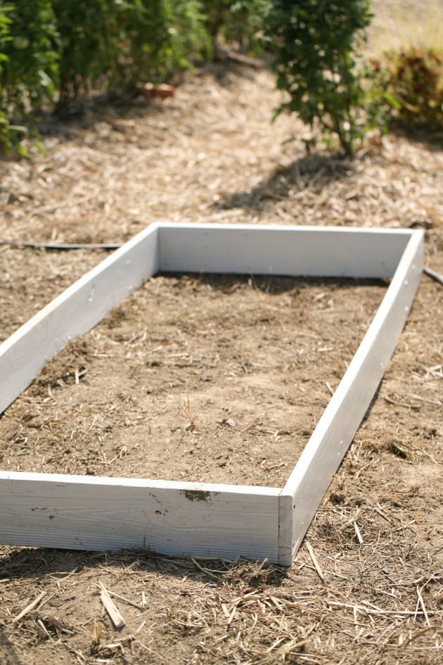 Building raised garden beds. This is a simple way to build garden beds, it cost me $0 and the whole project took just a few hours. #LadyLeesHome, #gardening #garden #raisedgardenbeds #organicgardening 