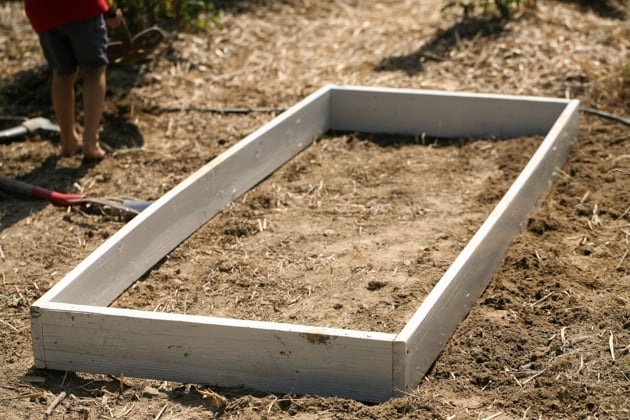 Building raised garden beds. This is a simple way to build garden beds, it cost me $0 and the whole project took just a few hours. #LadyLeesHome, #gardening #garden #raisedgardenbeds #organicgardening 