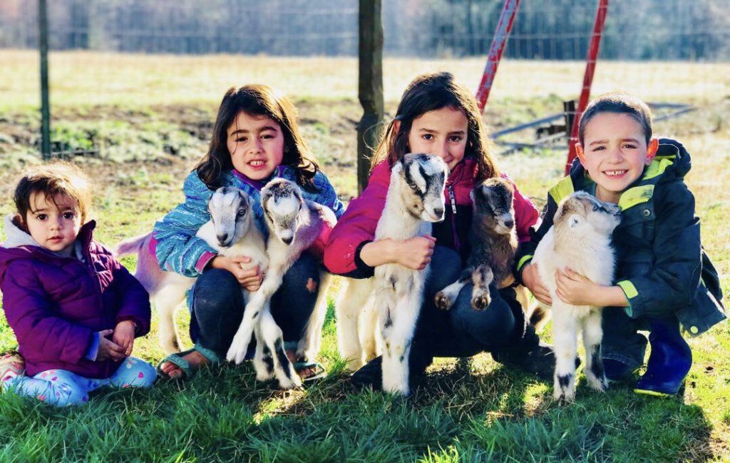 Lee's kids with baby goats.