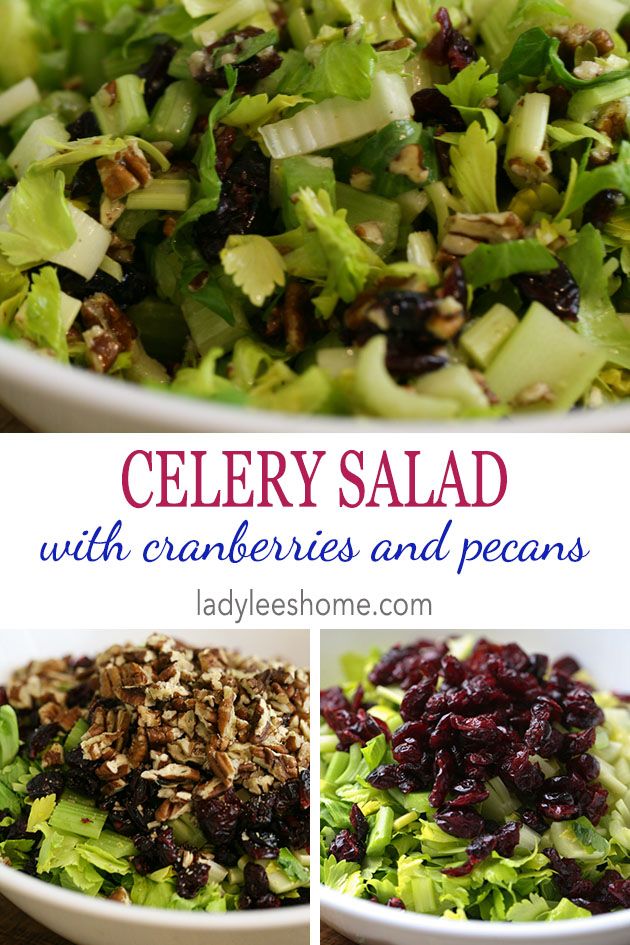 A simple, healthy, and tasty celery salad with pecans and cranberries. Delicious winter salad that is super easy to make. #salad, #celerysalad, #healthyfood, #dinner, #cranberries, #pecans #easysalds #saladrecipe #wintersalad 