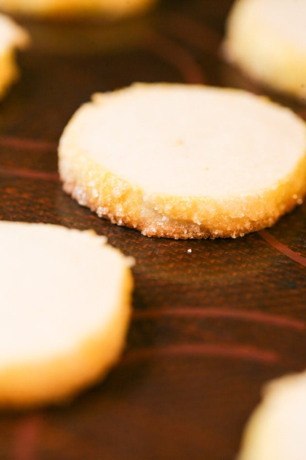 Really easy almond butter cookies. You can keep this dough refrigerated for a few days if you like.