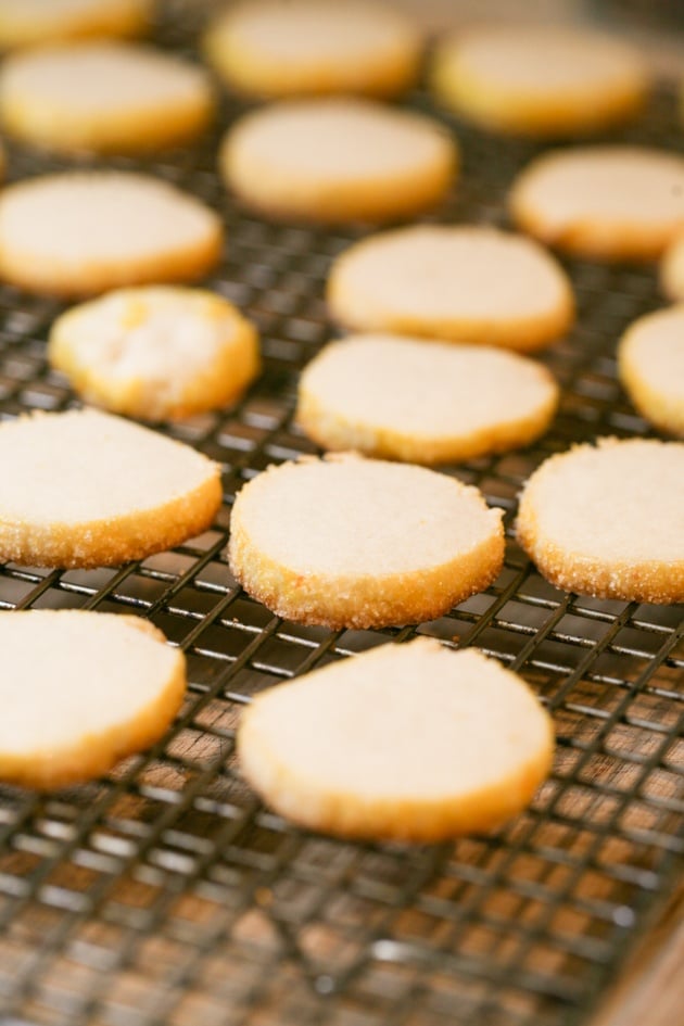 Really easy almond butter cookies. You can keep this dough refrigerated for a few days if you like.