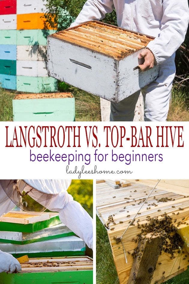 One of the first things you'll have to do as a beginner beekeeper is to choose your hive style. In this Beekeeping for Beginners post we explorer top-bar and Langstroth hives. #beekeeping #Bees #beehive #beekeepingforbeginners #topbarhive #homesteading