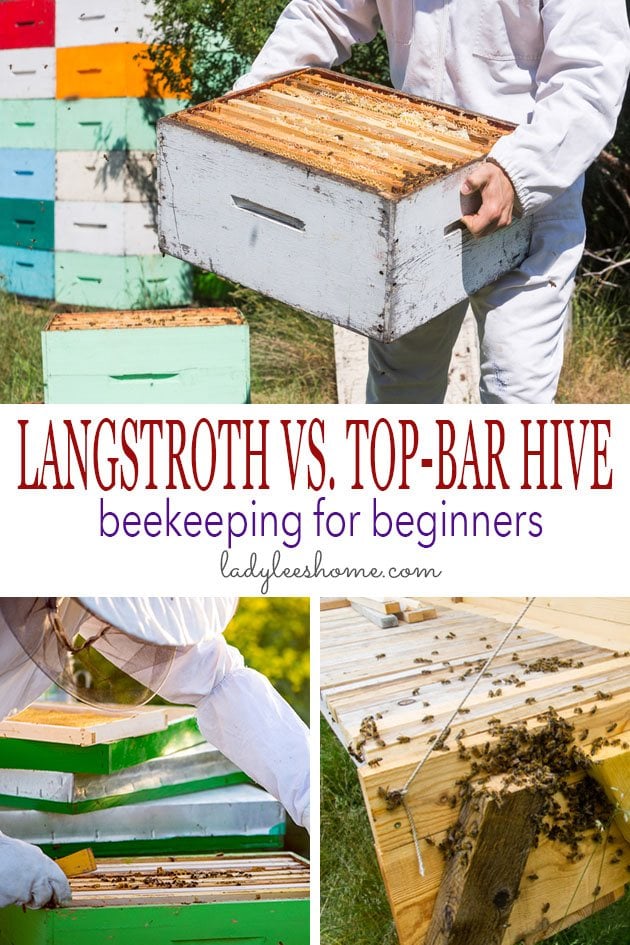 Beekeeping For Beginners Langstroth Vs Top Bar Hives Lady Lee S Home