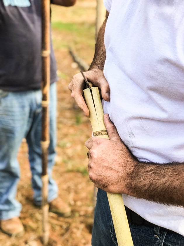 DIY Bamboo Screening. Let's learn about bamboo! It's an amazing plant that can be used for fencing and screening. Learn how to build a bamboo screen or a bamboo fence.