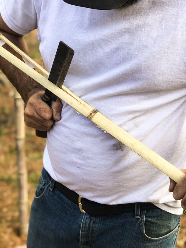 DIY Bamboo Screening. Let's learn about bamboo! It's an amazing plant that can be used for fencing and screening. Learn how to build a bamboo screen or a bamboo fence.