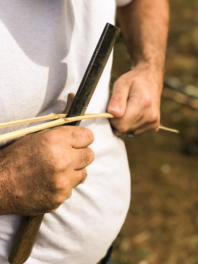 DIY Bamboo Screening. Let's learn about bamboo! It's an amazing plant that can be used for fencing and screening. Learn how to build a bamboo screen or a bamboo fence.