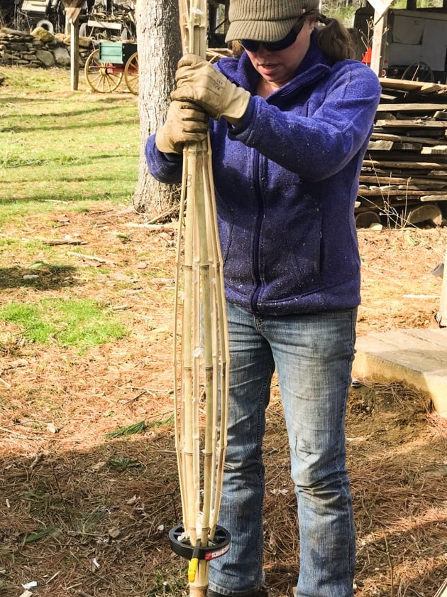 DIY Bamboo Screening. Let's learn about bamboo! It's an amazing plant that can be used for fencing and screening. Learn how to build a bamboo screen or a bamboo fence.