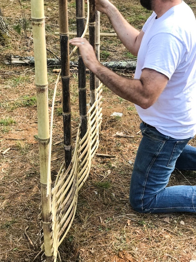 DIY Bamboo Screening. Let's learn about bamboo! It's an amazing plant that can be used for fencing and screening. Learn how to build a bamboo screen or a bamboo fence.