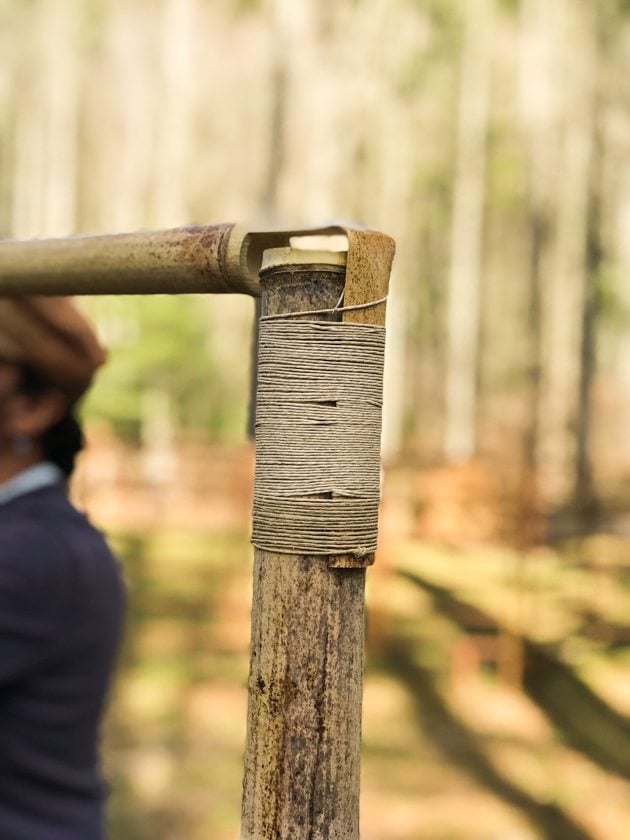 DIY Bamboo Screening. Let's learn about bamboo! It's an amazing plant that can be used for fencing and screening. Learn how to build a bamboo screen or a bamboo fence.