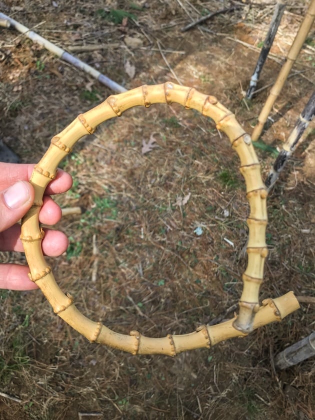 DIY Bamboo Screening. Let's learn about bamboo! It's an amazing plant that can be used for fencing and screening. Learn how to build a bamboo screen or a bamboo fence.