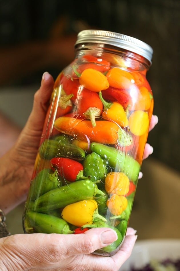 How to preserve peppers in vinegar and brine. 