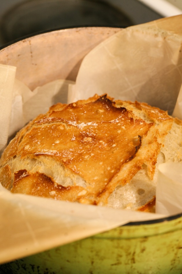 A simple, no-knead, artisan bread. This is a simple basic recipe that everyone should have on hand. This bread has a hard crust and is so soft inside. It is beautiful and tasty!