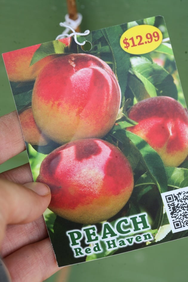 A peach tree information ticket.