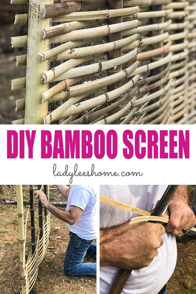 DIY Bamboo Screening. Let's learn about bamboo! It's an amazing plant that can be used for fencing and screening. Learn how to build a bamboo screen or a bamboo fence.