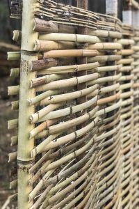 DIY Bamboo Screening. Let's learn about bamboo! It's an amazing plant that can be used for fencing and screening. Learn how to build a bamboo screen or a bamboo fence.