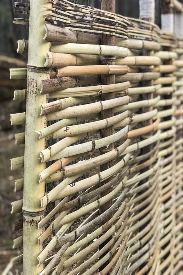 DIY Bamboo Screening. Let's learn about bamboo! It's an amazing plant that can be used for fencing and screening. Learn how to build a bamboo screen or a bamboo fence. 