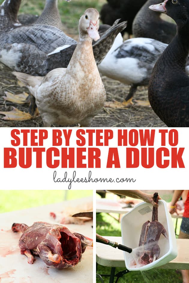 The RunnerDuck Bread Slicer Guide, step by step instructions.