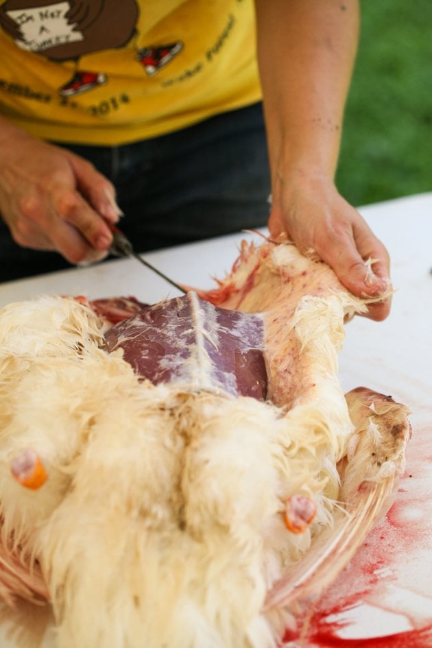 Separating the skin carefully from the meat...