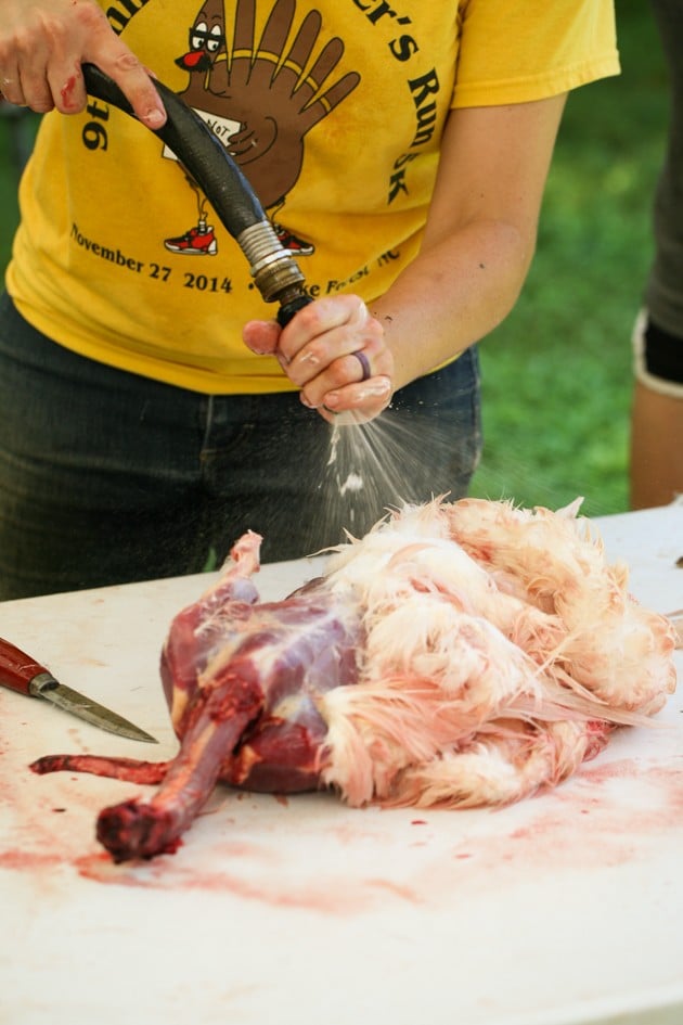 Washing the duck during skinning.