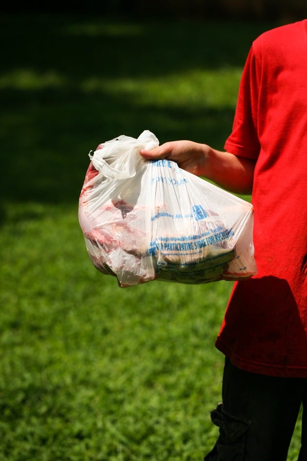 Placing the duck in a bag before placing in the fridge.