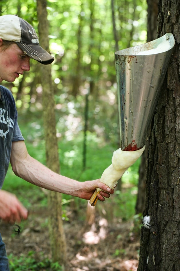 Extending the neck of the duck.