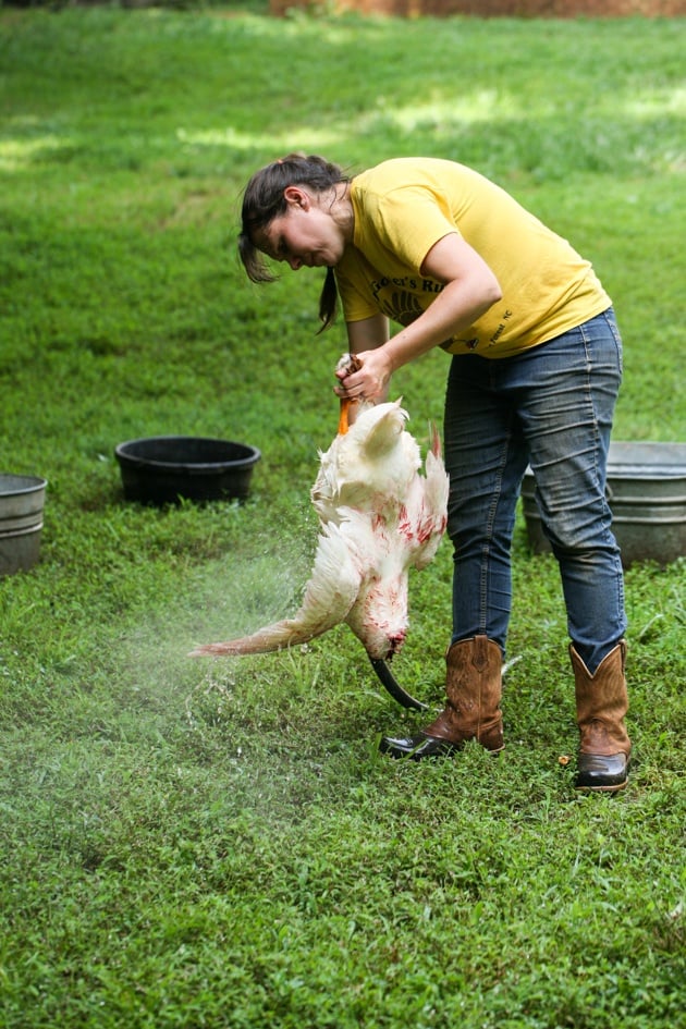 Washing the duck before skinning.