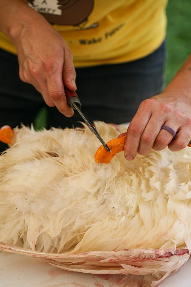 Removing the feet of the duck.