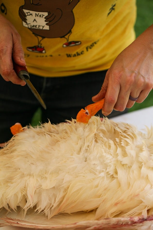 Cutting the joint to remove the feet.