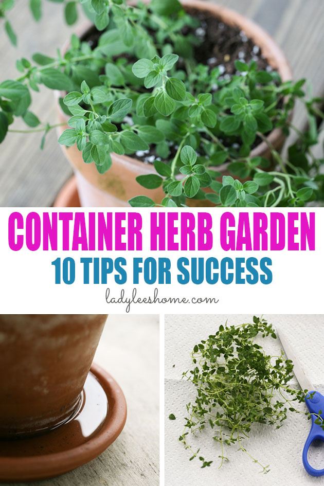 Let's grow a container herb garden! Here are 10 tips that will help you grow a productive and beautiful container herb garden! #containerherbgarden #growingherbsincontainers #herbcontainergarden #gardeningherbsincontainers