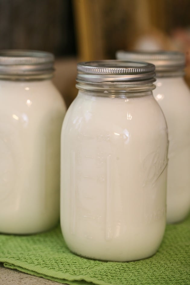 How to Can Milk - Raw or Store Bought | Lady Lee's Home