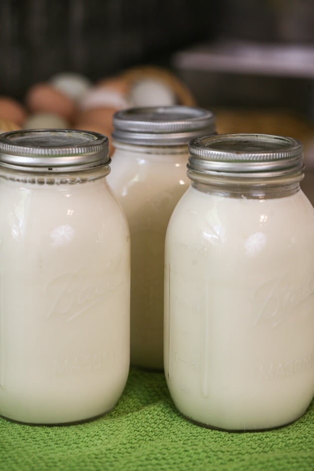 How to Can Milk - Raw or Store Bought - Lady Lee's Home