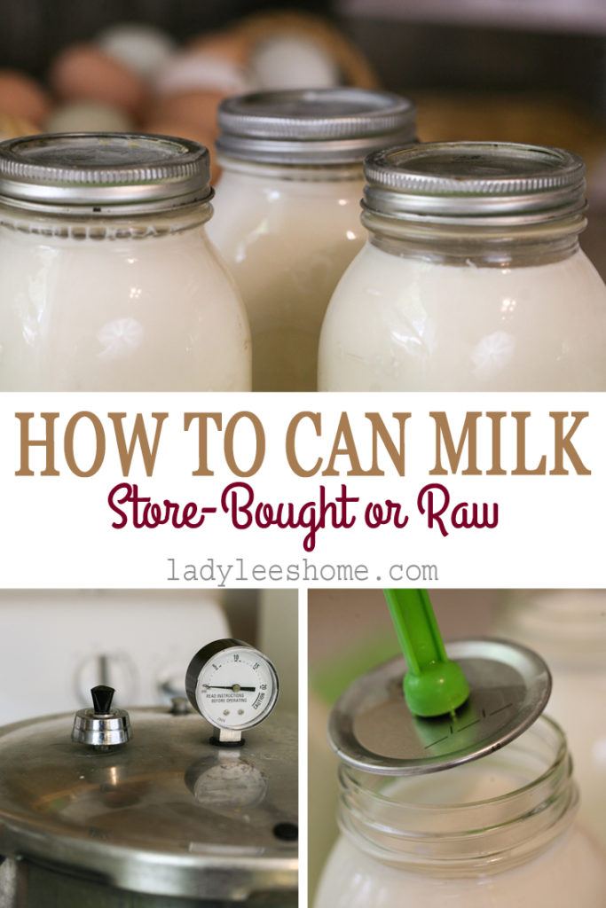 learn how to can milk. It can be raw milk or store-bought milk, cow's milk or goat's milk... They are all done the same. The process of canning milk is not complicated at all and I was pleasantly surprised to taste my milk months later and find it sweet and delicious. It's a really great way to preserve milk!
