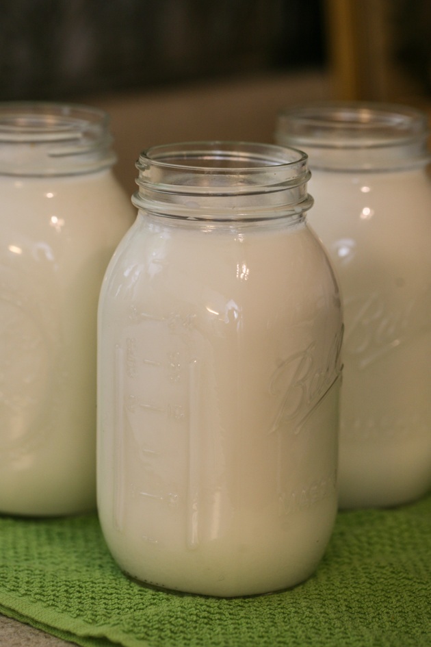 Filling the jars with milk.