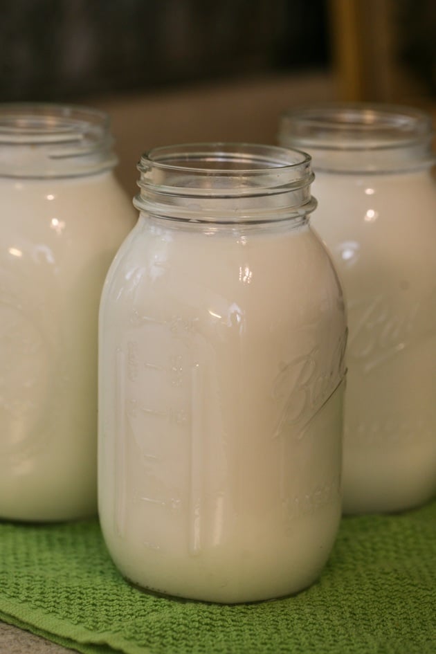 How To Can Milk Raw Or Store Bought Lady Lees Home 