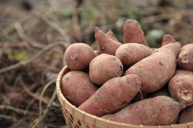 A basket of sweet potatoes.