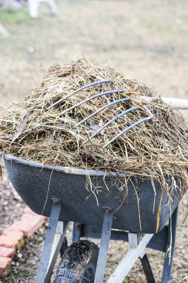 Adding old straw and hay to the garden beds. 