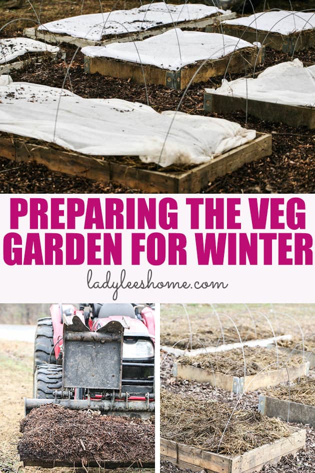 Preparing the vegetable garden for winter can be done rather quickly. Winter is an important time. The garden gets to rest and the soil can improve. Preparing your vegetable garden for winter will not only help improve the soil but will also save you a ton of work in the spring.  
#preparinggardenforwinter #preparinggardenforfall #preparinggardenforspring #preparinggardenbeds 