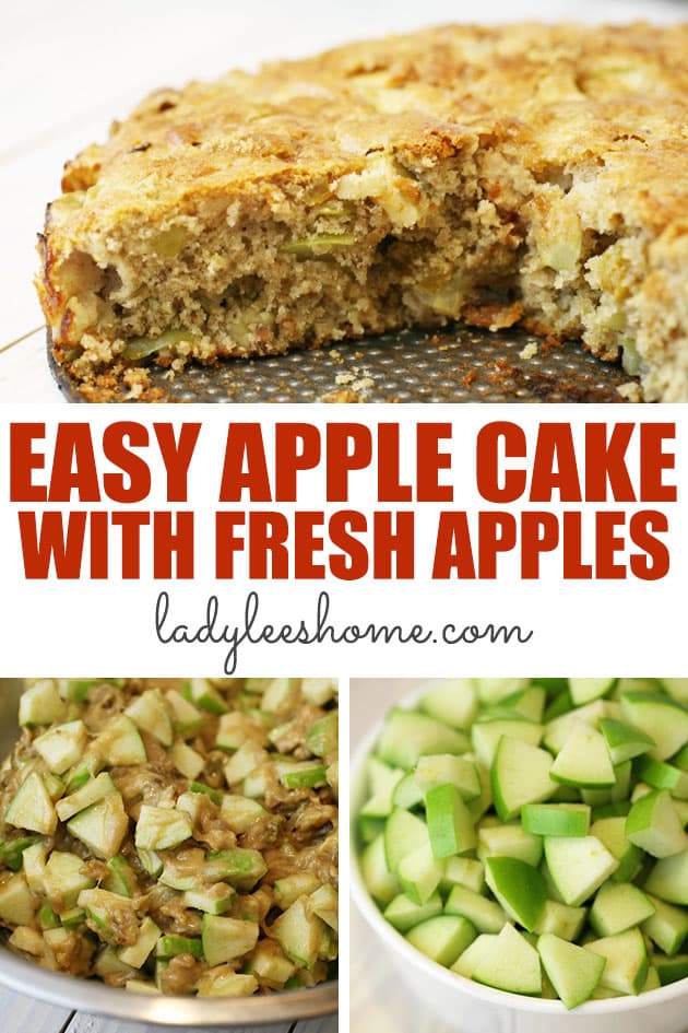 Easy apple cake with fresh apples that you can serve warm with ice cream or as a snack or just alongside a hot cup of coffee or tea. This easy apple cake recipe will become everyone's favorite!
