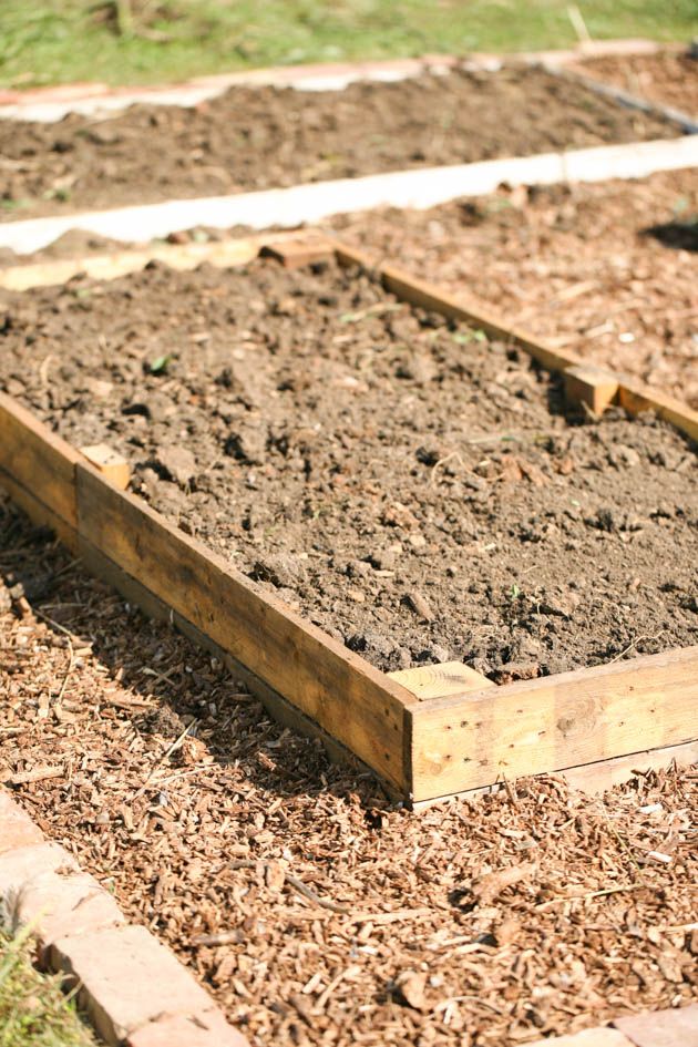 Adding compost into the pallet wood bed.