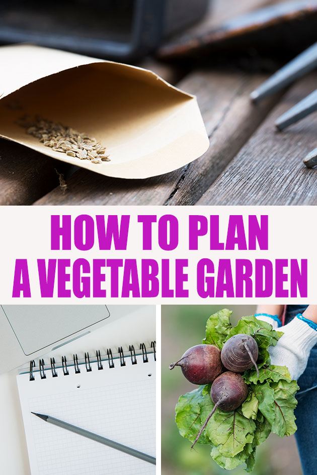 Taking the time to plan your garden before you order seeds will save you loads of time and money! This is how to plan a vegetable garden in 7 simple steps...