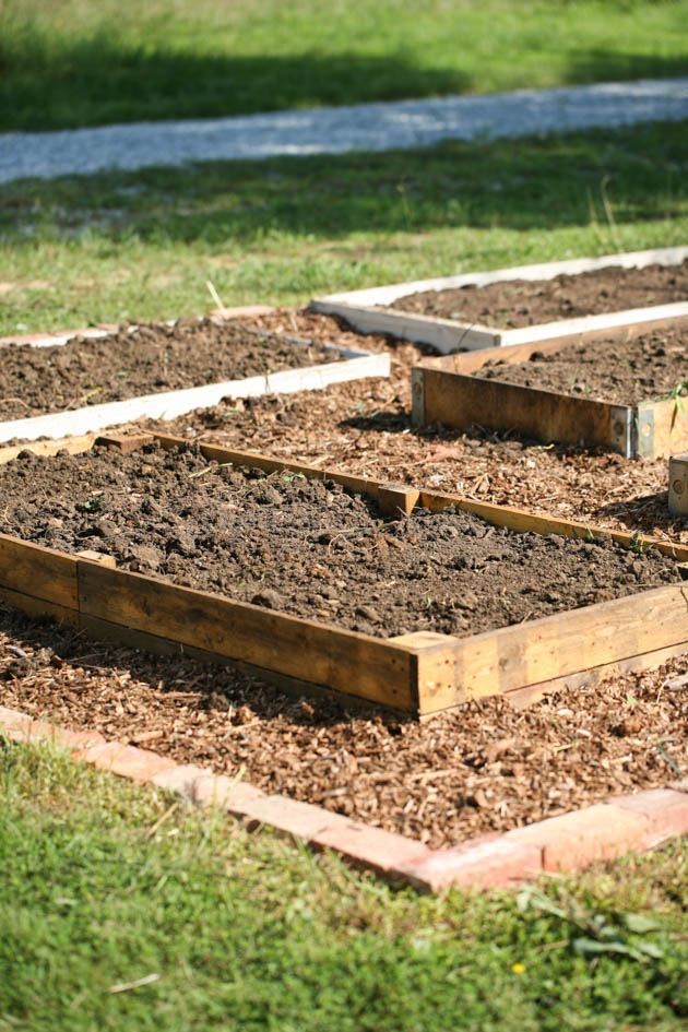 How to start a raised garden over grass - the garden is ready to plant. 