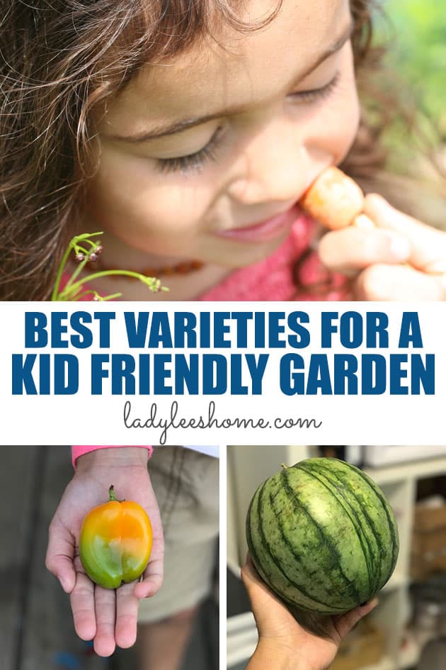 18 best varieties for a kid-friendly garden. Create a beautiful and productive garden that kids love by planting these vegetable varieties!