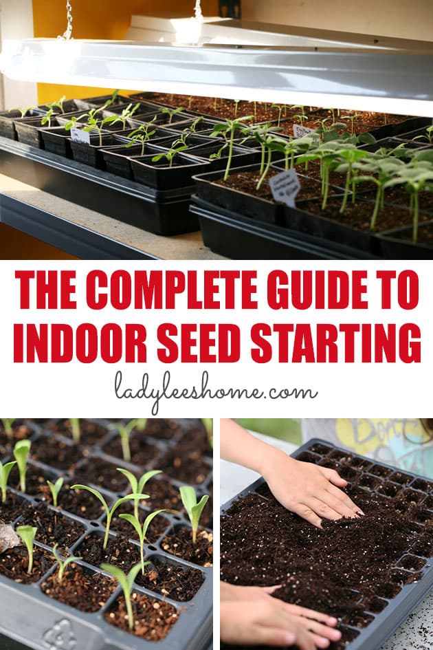 7 Useful Seed Starting Supplies for Success Indoors ~ Homestead and Chill