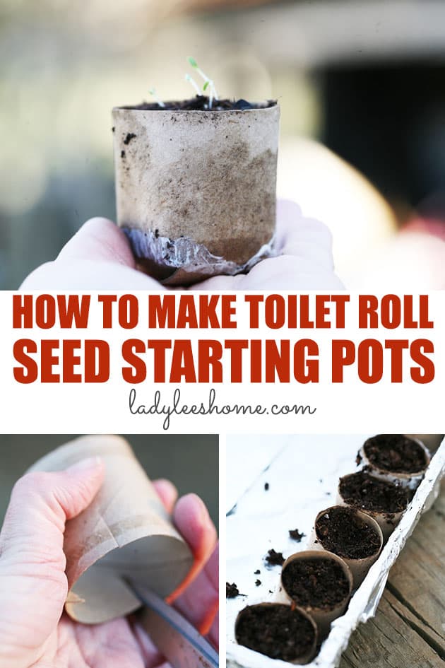 How to Make Toilet Paper Roll Seed Starter Pots - Lady Lee's Home