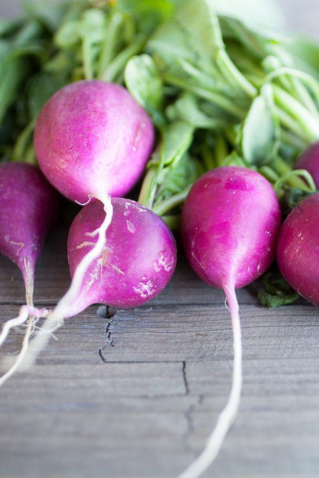 Harvested pink radish. Vegetables to plant in autumn. 