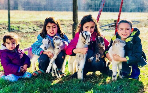 Little kids holding baby Lamancha goats. 