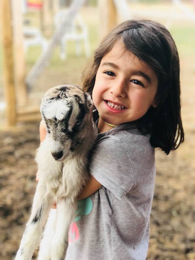 A girl holding a baby Lamancha Goat.